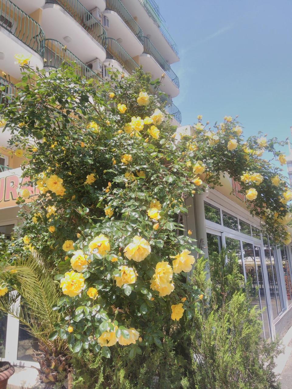 Hotel Yantra Σάνι Μπιτς Εξωτερικό φωτογραφία